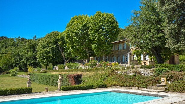 Une piscine bordée de pierres, entourée d’un jardin bien entretenu et d’un grand arbre.