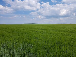 Photo non classée, 2 sur 29, bouton