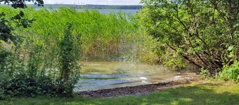 Apartment Seeluster Bucht - Apartment