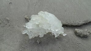 Unclassified image, 2 of 56, button - Vacation apartment SA4 - Ferienwohnungen Furch (Heringsdorf)