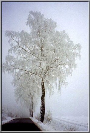 Unclassified image, 3 of 56, button - Vacation apartment SA4 - Ferienwohnungen Furch (Heringsdorf)