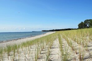 Nära stranden