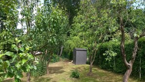 Un jardín con un cobertizo, árboles y césped.