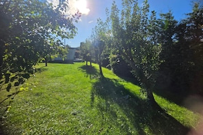 A grassy outdoor area with trees and a building in the background.