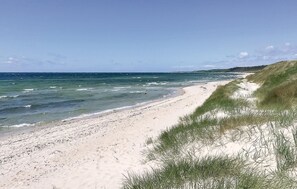 In Strandnähe, Angeln