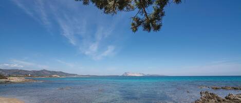 بالقرب من الشاطئ