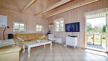 TV, fireplace, DVD player