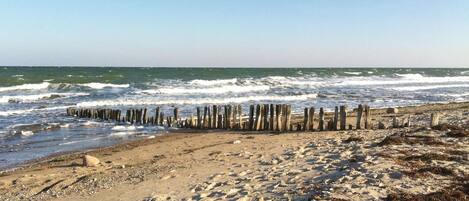 Beach nearby, fishing