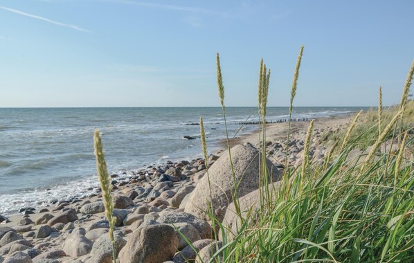 Beach nearby, fishing