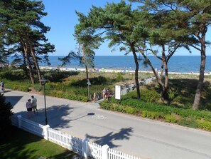Une route côtière bordée d’une clôture blanche, d’arbres, et offrant une vue dégagée sur la plage et l’océan.