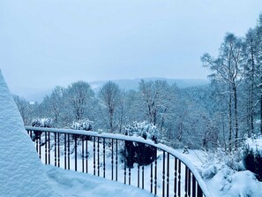 Unclassified image, 2 of 28, button - VogtlFinn - VogtlFinn - Vogtland Hochfuss with character (Zwota)