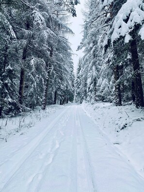 Uklassifisert bilde, 5 av 28, knapp