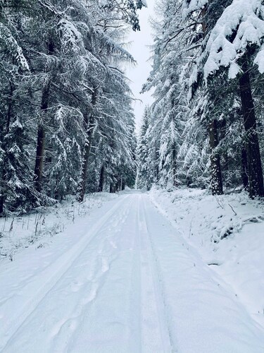 VogtlFinn - VogtlFinn - Vogtländischer hoitoon on luonnetta