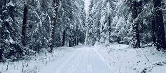 VogtlFinn - VogtlFinn - Vogtländischer tratar con carácter