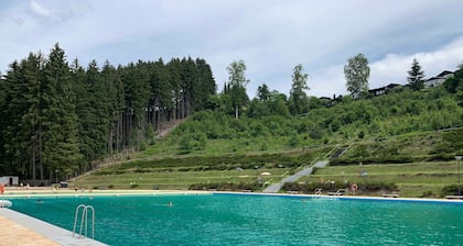 VogtlFinn - VogtlFinn - Vogtländischer hoitoon on luonnetta