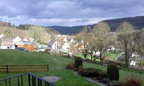 Unclassified image, 4 of 28, button - VogtlFinn - VogtlFinn - Vogtland Hochfuss with character (Zwota)