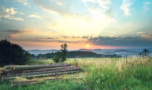Unclassified image, 5 of 28, button - VogtlFinn - VogtlFinn - Vogtland Hochfuss with character (Zwota)