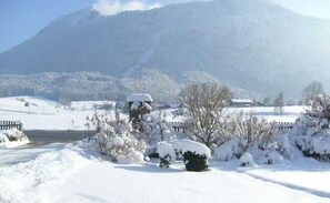 Unclassified image, 5 of 21, button - Gamskogl vacation apartment with magnificent mountain views - DEB 032 Pension mit Bergblick (Inzell)