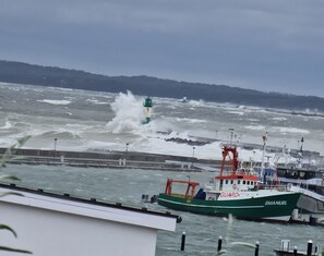 Unclassified image, 3 of 20, button