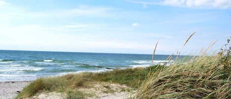 Nær stranden