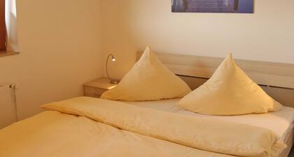 Aquamarine fireplace terrace 250 m to the beach - Semi-detached house fireplace terrace 250