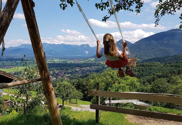 Luokittelematon kuva, 1 kautta 42, painike