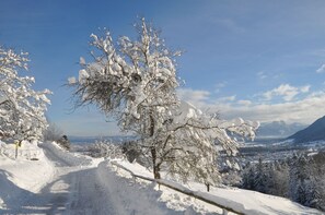 Unclassified image, 4 of 43, button - Almgart'n - Koglhof - Kathrin and Hans Kirchberger (Fischbachau)