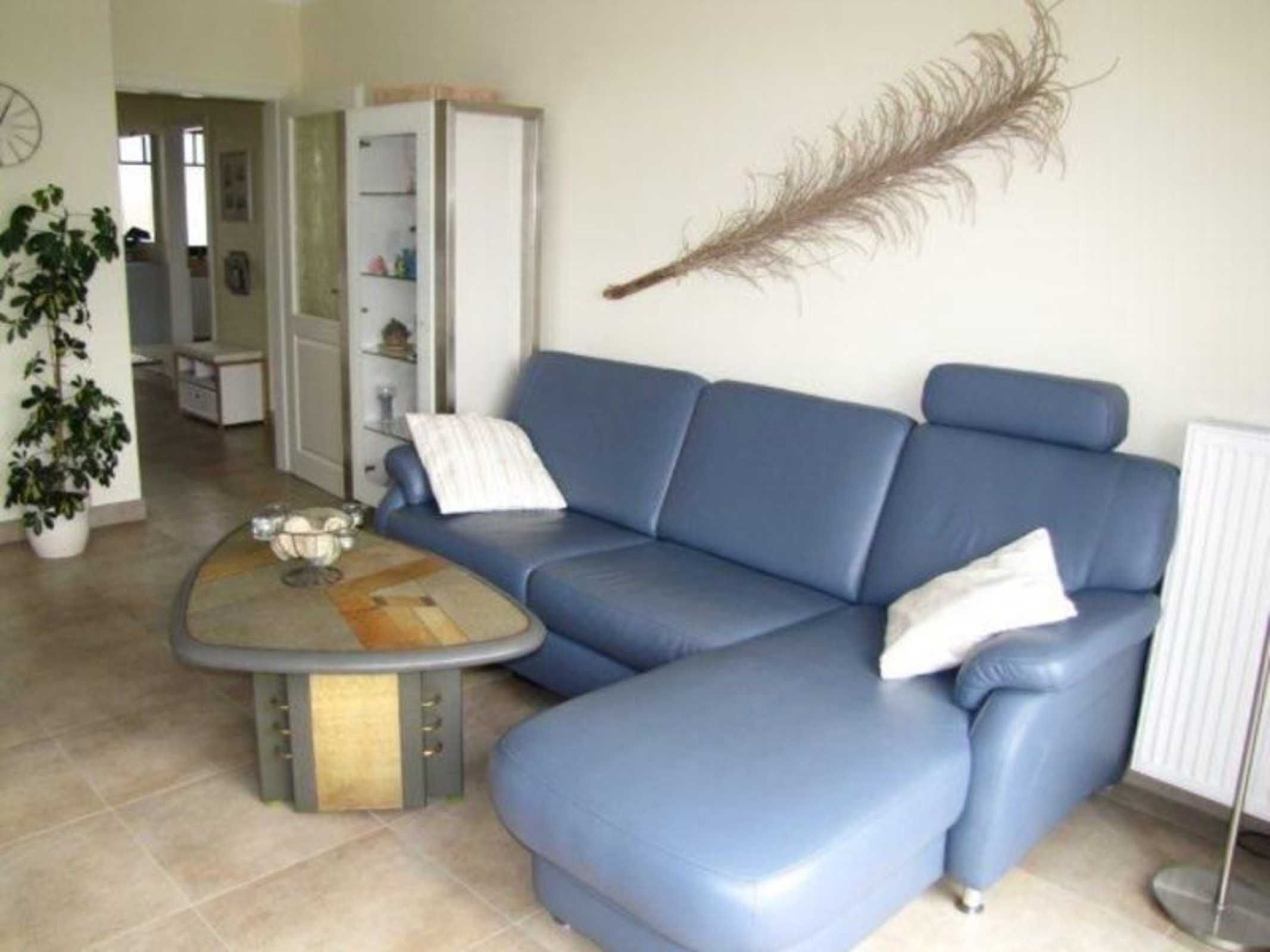 A living room with a blue sofa, a coffee table, and a decorative feather.