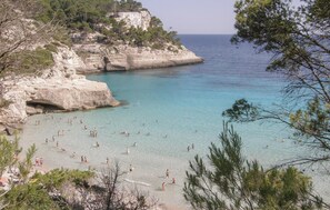 Uma praia com águas turquesa cristalinas, falésias rochosas e pinheiros.