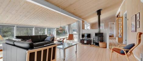 TV, fireplace, DVD player