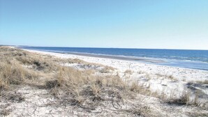 Een strand met duinen en een heldere lucht.
