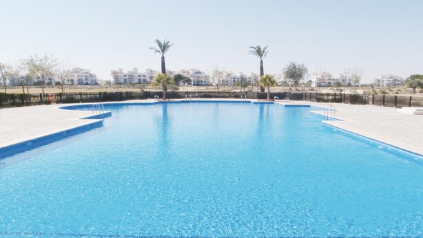 Une piscine rectangulaire à l’eau d’un bleu limpide, entourée d’une terrasse carrelée.