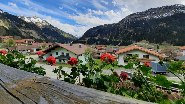 Un pueblo de montaña con casas tradicionales, una valla de madera y flores rojas en primer plano.