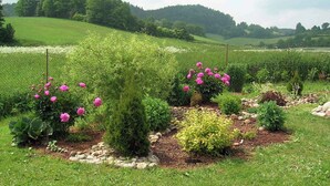 Ein Garten mit Pfingstrosen und verschiedenen Sträuchern, umgeben von einem Zaun, mit sanften Hügeln im Hintergrund.