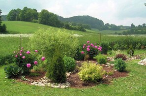 Property grounds - Holiday home with outdoor pool (Vlčice u Trutnova)