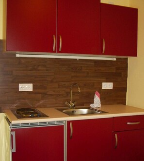 Fridge, microwave, stovetop, coffee/tea maker