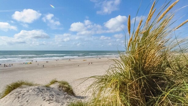 Una playa con dunas de arena y vegetación escasa.