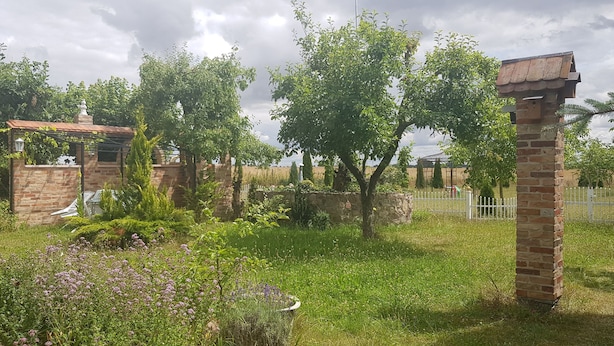 A garden with a brick structure, a pergola, and various plants. - Apartment 1 - Fewos "Storchenhof" near the lake (Meesiger)