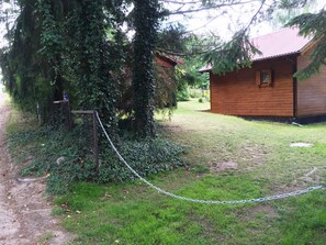 Botón de imagen sin clasificar, 4 de 12