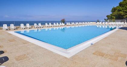 Holiday apartment with pool