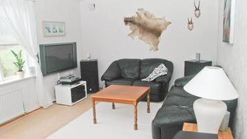 TV, fireplace, DVD player, stereo