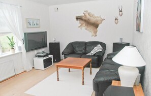 TV, fireplace, DVD player, stereo
