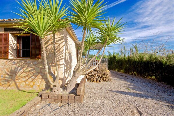 A house with a stone facade, a gravel driveway, and a palm tree in the foreground.