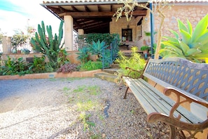 A patio area with a bench, surrounded by various cacti and plants, leading to a building entrance.