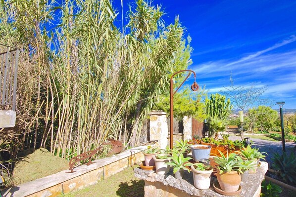 Un jardin agrémenté de diverses plantes en pot, une structure métallique et un ciel d’un bleu limpide.