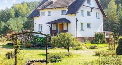 4 bedroom nice home in Dziemiany