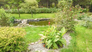 Un jardin avec un étang, entouré de différentes plantes et arbres.