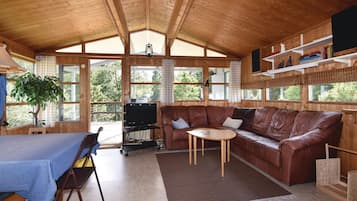 Tv, eldstad och dvd-spelare