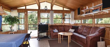 TV, fireplace, DVD player