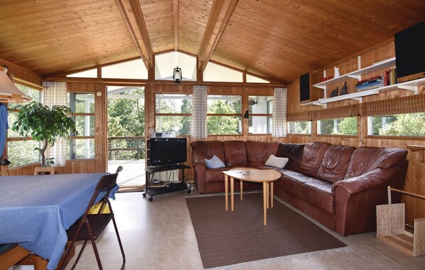 Télévision, cheminée, lecteur de DVD